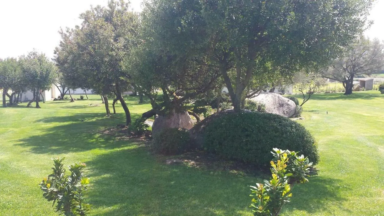 B&B Majore Olbia Bed & Breakfast